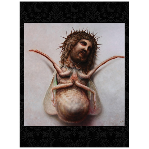 Posters - Dominus Muscae